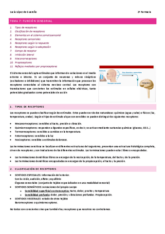 TEMA-7-Funcion-sensorial.pdf