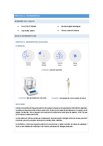Aymerich-Munoz-Oyague-Ziati-P1.pdf