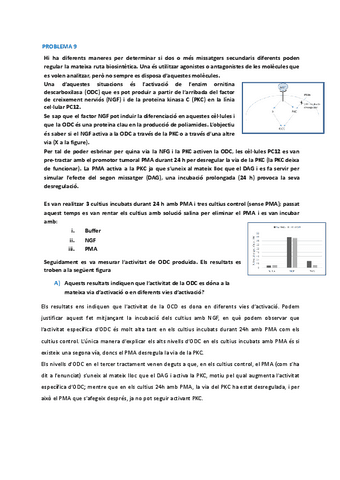 problema-91011.pdf