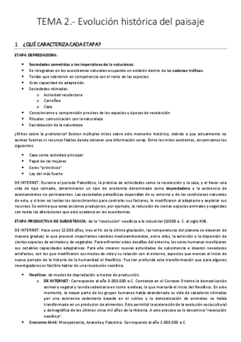 DIDACTICA-MA-TEMA-5.pdf