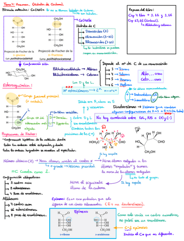 Tema-4-Hidratos-de-carbono-Organica-3.pdf