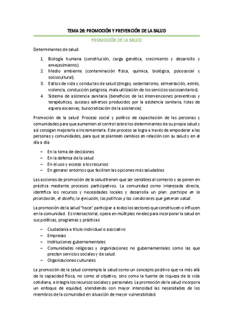 TEMA-26.pdf