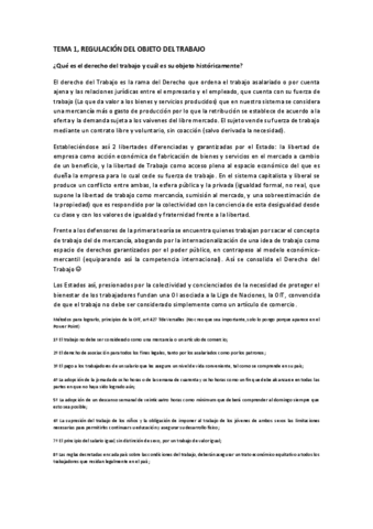 Apuntes-diversos-temas-de-Derecho-del-trabajo-I.pdf