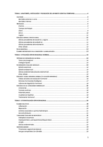 CGa-Todo-el-curso.pdf