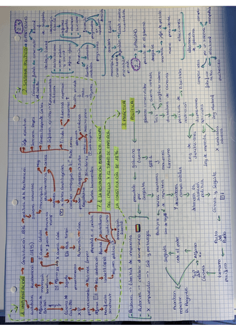 Bloque-7-esquemas-y-eje-cronologico.pdf