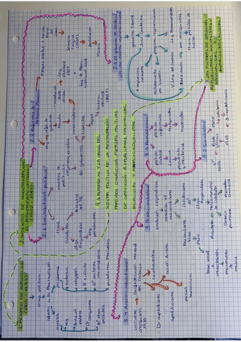 Bloque-9-esquemas-y-eje-cronologico.pdf