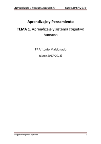 TEMA 1 Aprendizaje.pdf