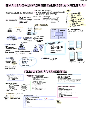 ESTRATEGIES.pdf