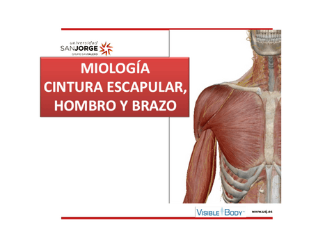 Tablas-miologia-cintura-escapular-TABLA-hombro-y-brazo.pdf