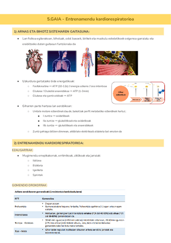 5.GAIA-Entrenamendu-kardiorespiratorioa-Documentos-de-Google.pdf