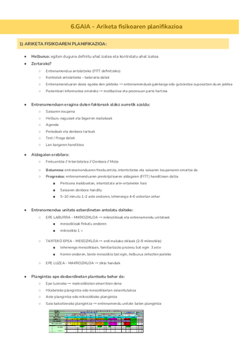 6.GAIA-Ariketa-fisikoaren-planifikazioa-Documentos-de-Google.pdf