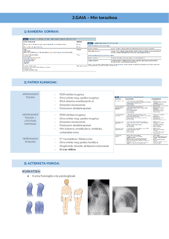 2.GAIA-Min-torazikoa-Documentos-de-Google.pdf