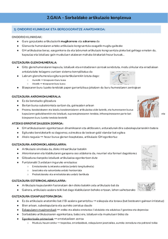 2.GAIA-Sorbaldaren-artikulazio-konplexua-Documentos-de-Google.pdf