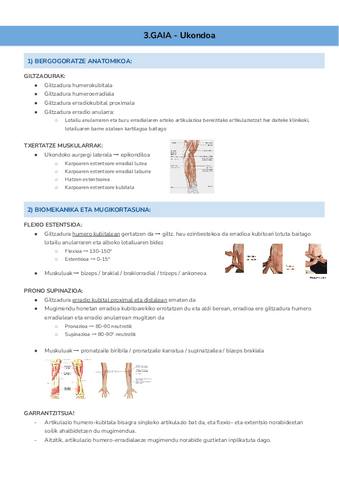 3.GAIA-Ukondoa-Documentos-de-Google.pdf