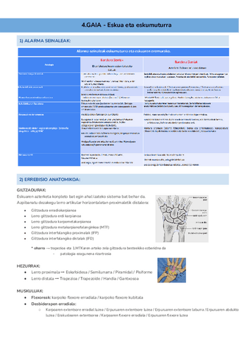 4.GAIA-Eskua-eta-eskumuturra-Documentos-de-Google.pdf