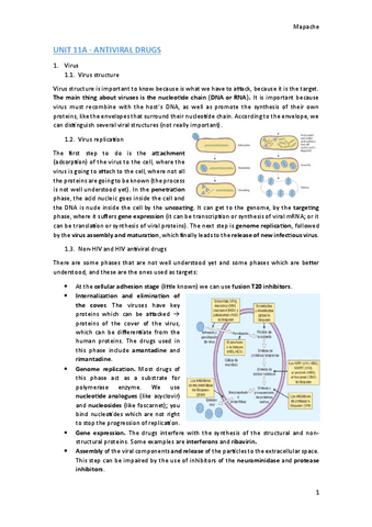 UNIT-11.pdf