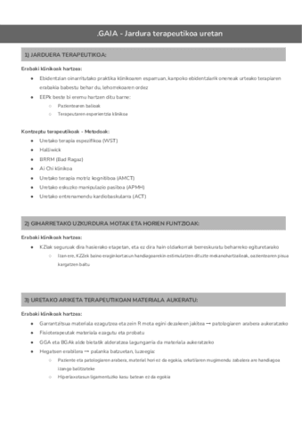 GAIA-Jarduera-terapeutikoa-uretan-Documentos-de-Google.pdf