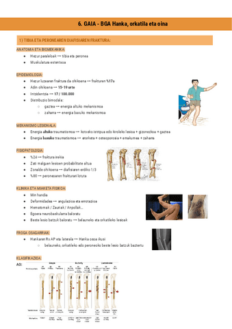 6.GAIA-BGA-Hanka-orkatila-eta-oina-Documentos-de-Google.pdf