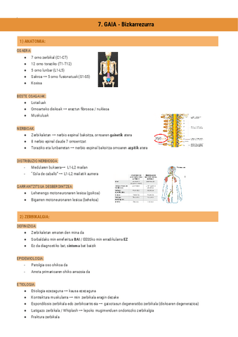 7.GAIA-Bizkarrezurra-Documentos-de-Google.pdf