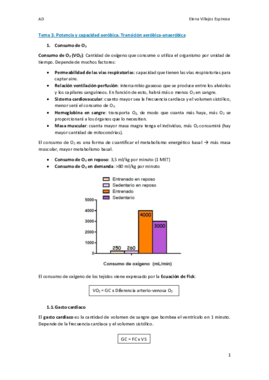 wuolahTema 3.pdf