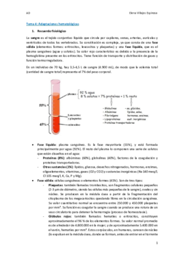 wuolahTema 4.pdf