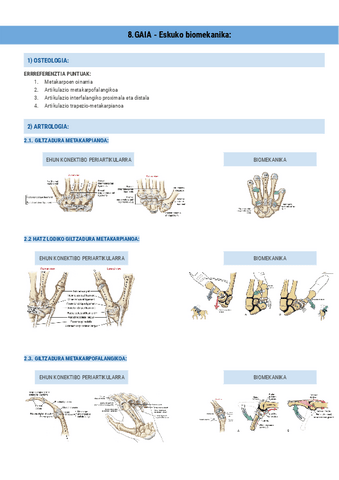 8.GAIA-Eskuko-biomekanika-Documentos-de-Google.pdf