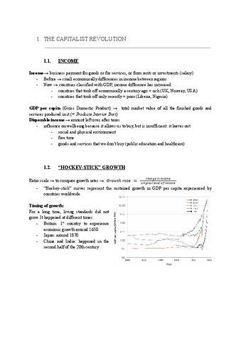 1.-THE-CAPITALIST-REVOLUTION.pdf