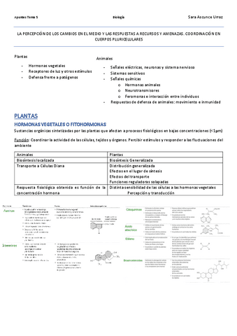 Apuntes-Tema-5-Parte-2.pdf
