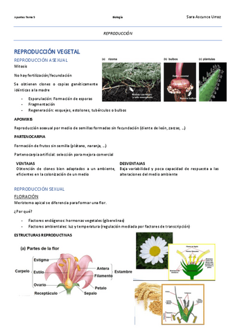Apuntes-Tema-5-Parte-3.pdf