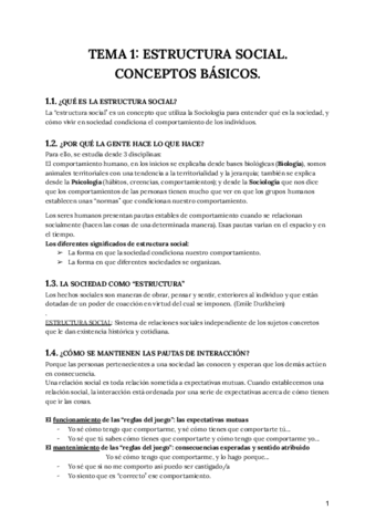 Temario-ESTRUCTURA-SOCIAL.pdf
