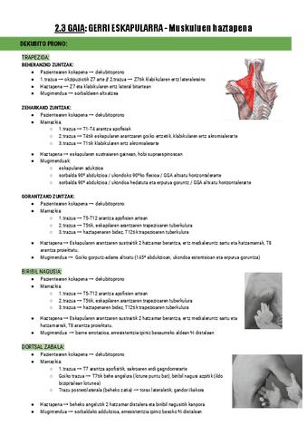 2.3-GERRI-ESKAPULARRA-Muskuluen-haztapena-Documentos-de-Google.pdf