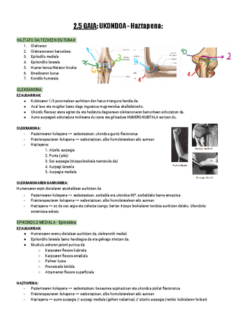 2.5.-UKONDOA-Haztapena-Documentos-de-Google.pdf