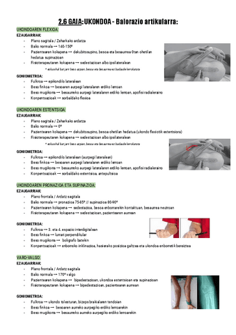 2.6.-UKONDOA-Balorazio-artikularra-Documentos-de-Google.pdf