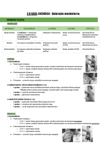 2.8.-UKONDOA-Balorazio-muskularra-Documentos-de-Google.pdf