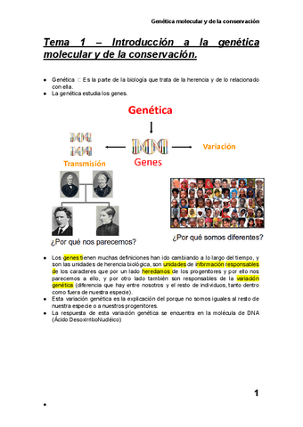 Tema-1-Introduccion-a-la-genetica-molecular-y-de-la-conservacion..pdf