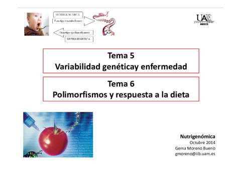 wuolahTema 5 y 6.pdf