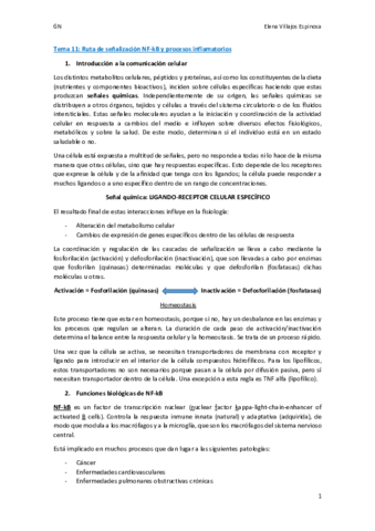 wuolahTema 11. Ruta de señalización NF-kB.pdf