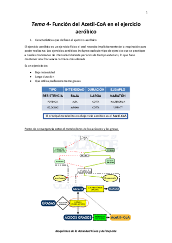 Tema 4- Función del Acetil-CoA en el ejercicio aeróbico  .pdf