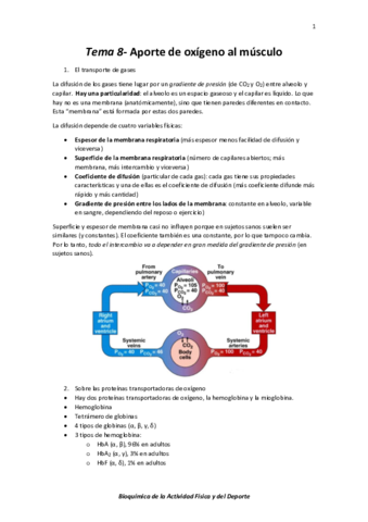 Tema 8- Aporte de oxígeno al músculo.pdf