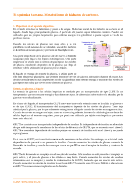 Metabolismo hidratos de carbono.pdf