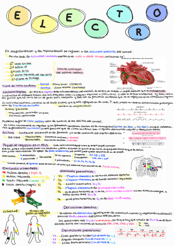 Electrocardiografia-Adulto-I.pdf