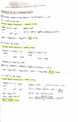 SEMINARIO-5-Equilibrios-acido-base.pdf