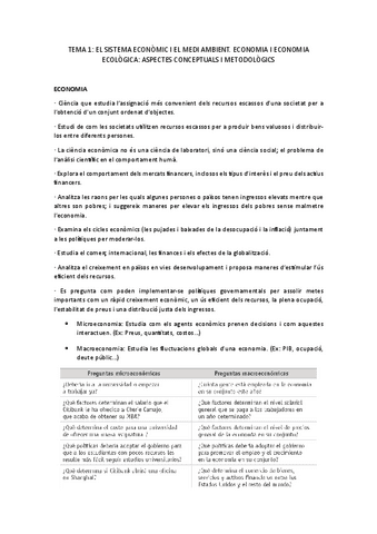 Apunts-economia-1.pdf