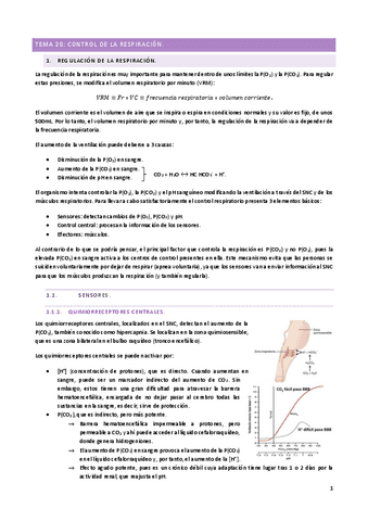 TEMA-20.pdf