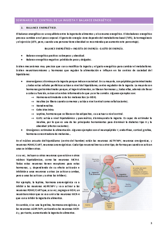 SEMINARIO-12.pdf
