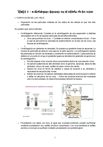 TEMA-3-VIROLOGIA.pdf