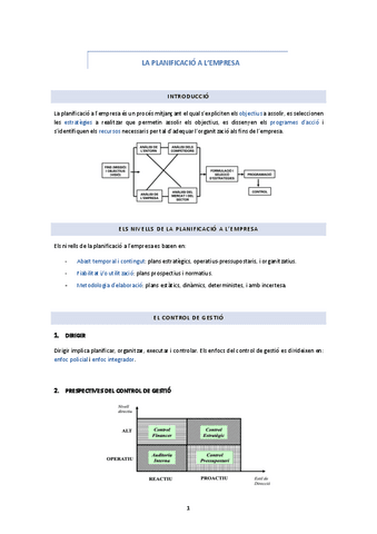 Tema-1-La-planificacio-a-lempresa.pdf