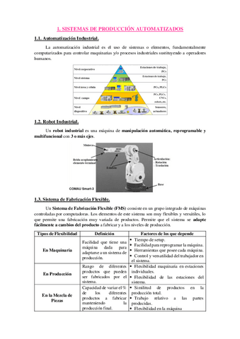 Resumen-Auto.pdf