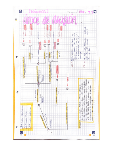 PRACTICAS-T.2-IEE.pdf