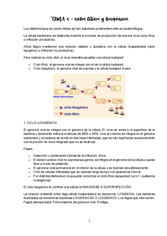 TEMA-4-VIROLOGIA.pdf